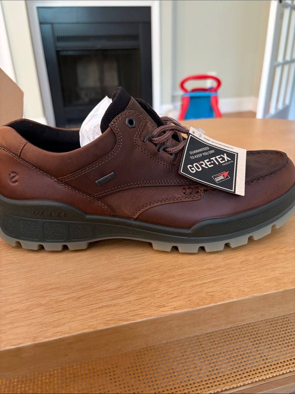ECCO Men's Track 25 Low GTX shoes - Picture 3 of 5